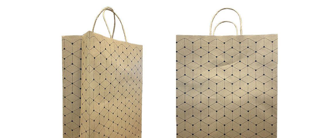 The image provided appears to be a stock illustration of a brown paper bag. Here's a breakdown of the various elements in the image and how they might