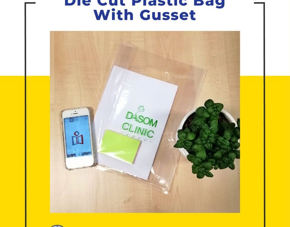 A clear plastic bag with gusseted sides lies open on a wooden surface. Inside are a white paper with green text and graphics, a small green notepad, and a smartphone displaying an app icon.